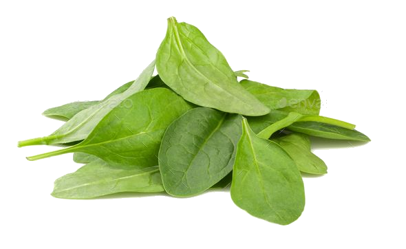 spinach